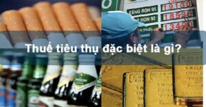 thue tieu thu dac biet la gi