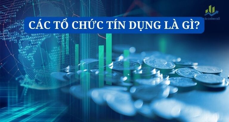 cac to chuc tin dung la gi