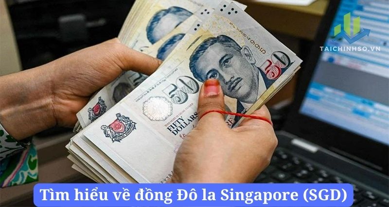 dong dollar singapore