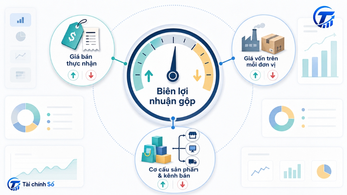 Nguyên nhân biên lợi nhuận gộp tăng hoặc giảm