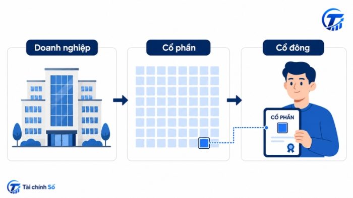 Mua cổ phiếu là sở hữu cổ phần