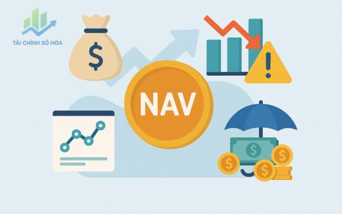 cac yeu to anh huong den nav