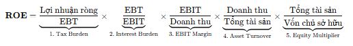 tinh roe theo mo hinh dupont 5 buoc