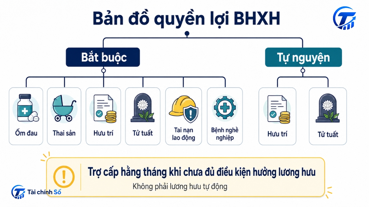 Sơ đồ quyền lợi BHXH bắt buộc, tự nguyện và trợ cấp hằng tháng
